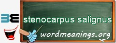 WordMeaning blackboard for stenocarpus salignus